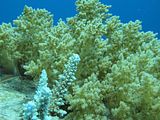 IMG_1020