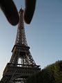 IMG_1529